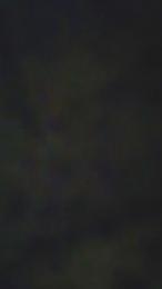 Screach93 webcam model stream image