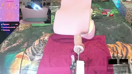 fatfabulous1981 webcam model stream image