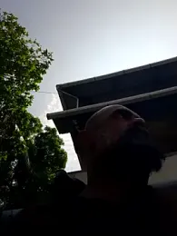 image de stream de kikkalakka