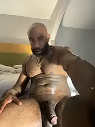 image de stream de QHefner52