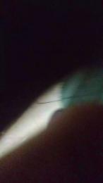 Nachovidal1985 webcam model stream image