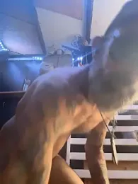 image de stream de HandyBro