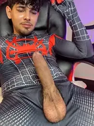 image de stream de Samir_bear