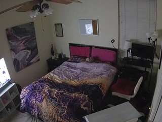 voyeurcam-hornyhostel-01 webcam camsoda model stream image