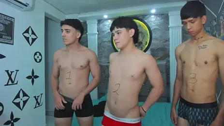 Aperçu webcam de UrSecretBoys