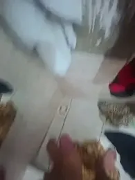 image de stream de gustavoshow