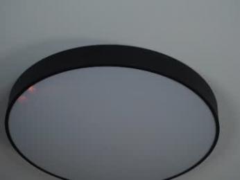 forestproject webcam model stream image
