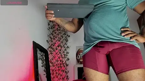ARTHUR_MINI webcam model stream image