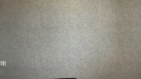 image de stream de Viola-Whisper