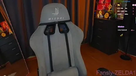 image de stream de zelda_1