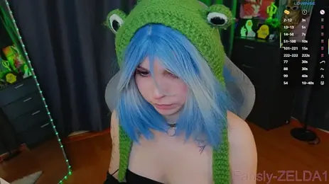 image de stream de zelda_1