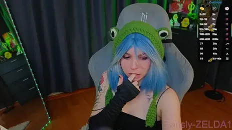 image de stream de zelda_1