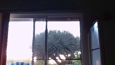 Whtboy420 webcam model stream image